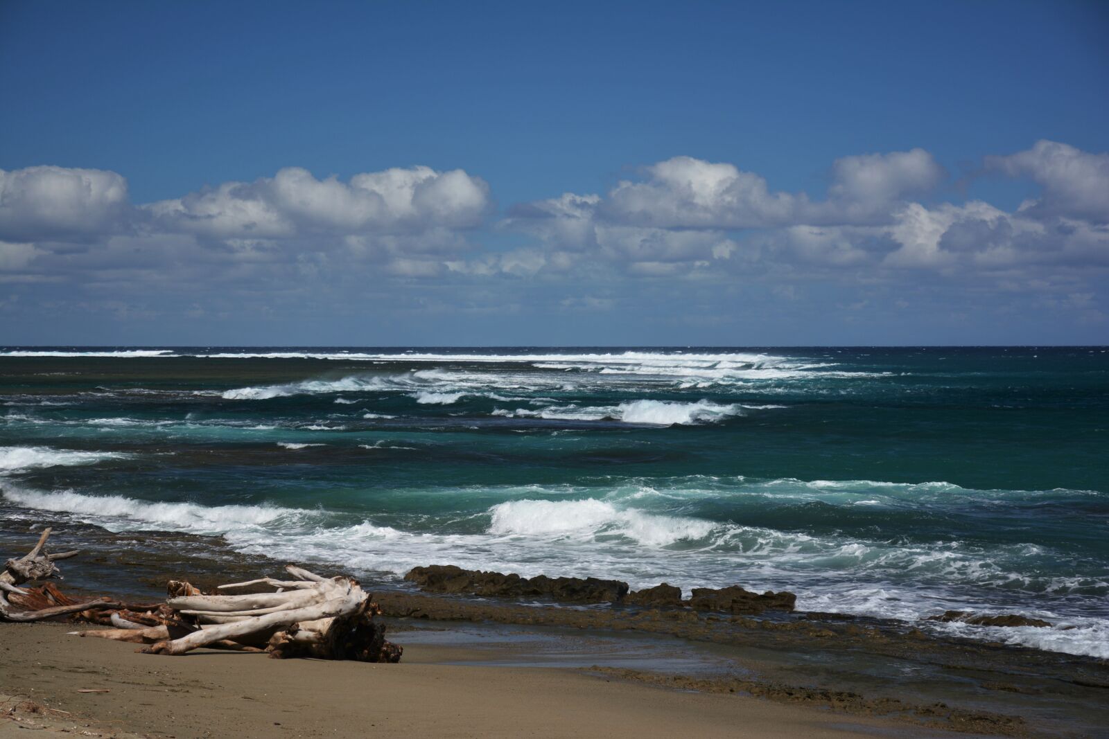 Nikon D7100 sample photo