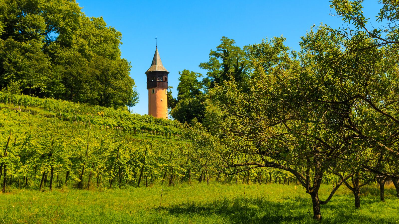 Canon EOS 650D (EOS Rebel T4i / EOS Kiss X6i) sample photo. Sweden tower, mainau island photography