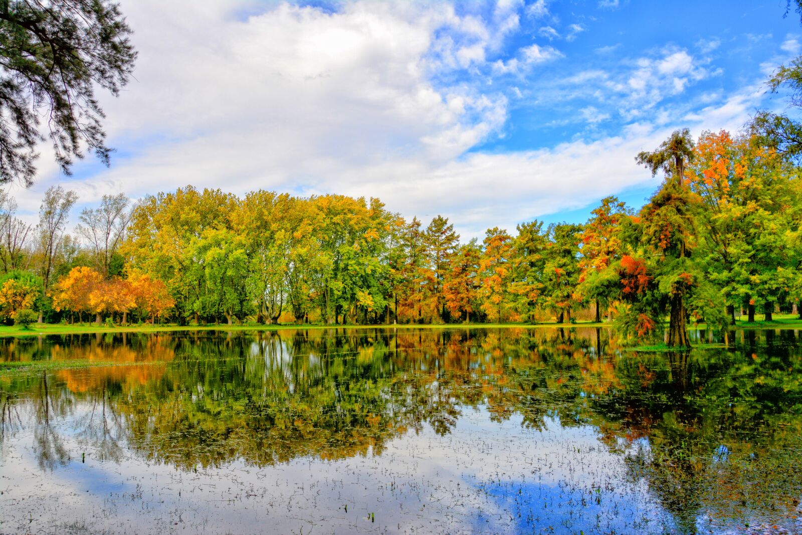 Nikon D7100 sample photo. Lake, autumn, landscape photography