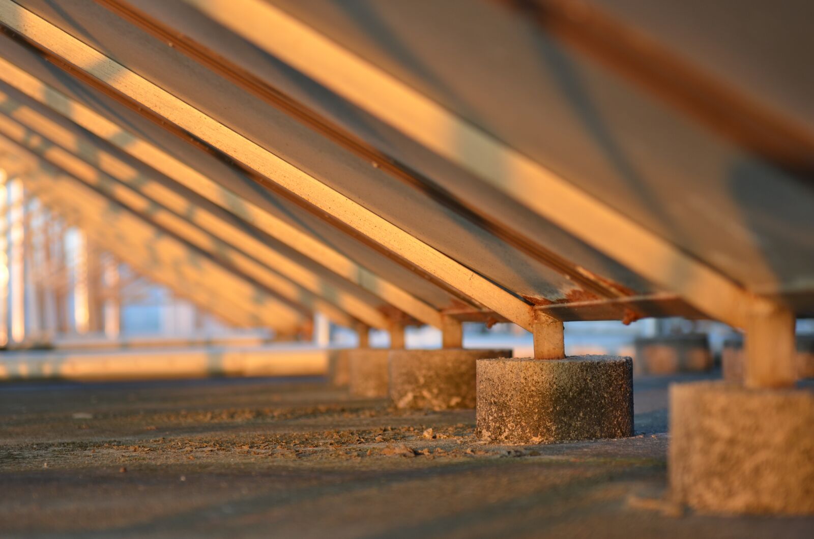 Nikon D7000 sample photo. Sunset, sunset light, line photography