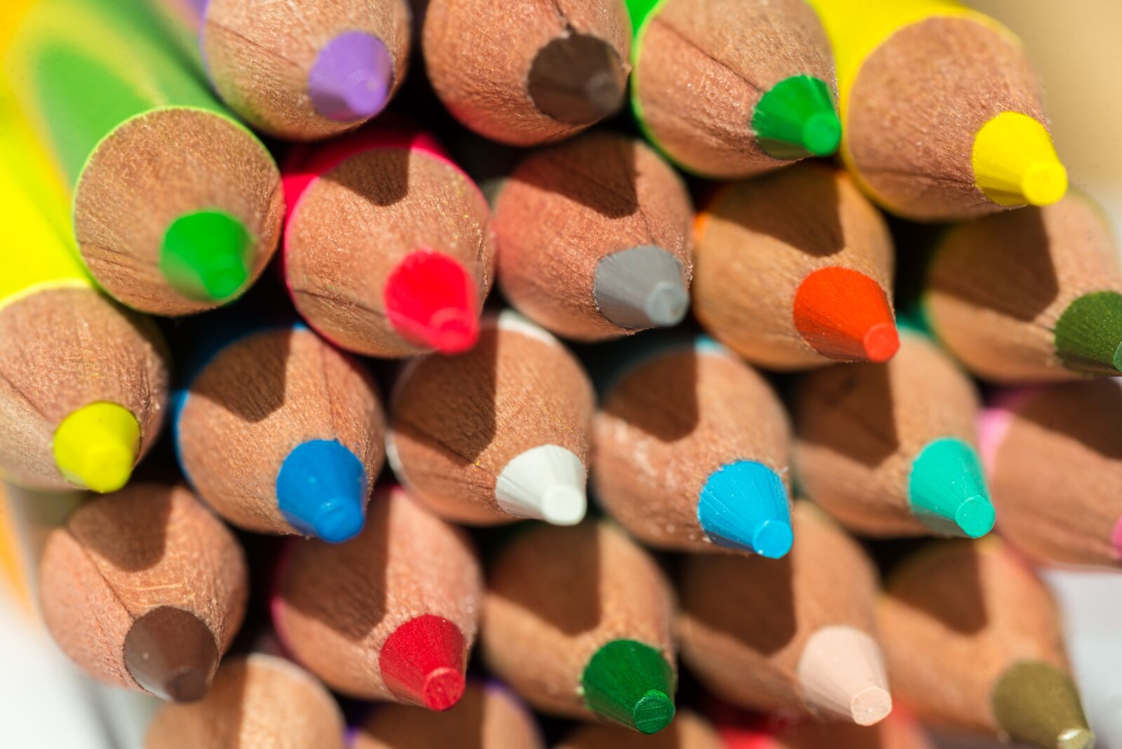 Nikon D600 sample photo. Colored pencils, diversity, tolerance photography