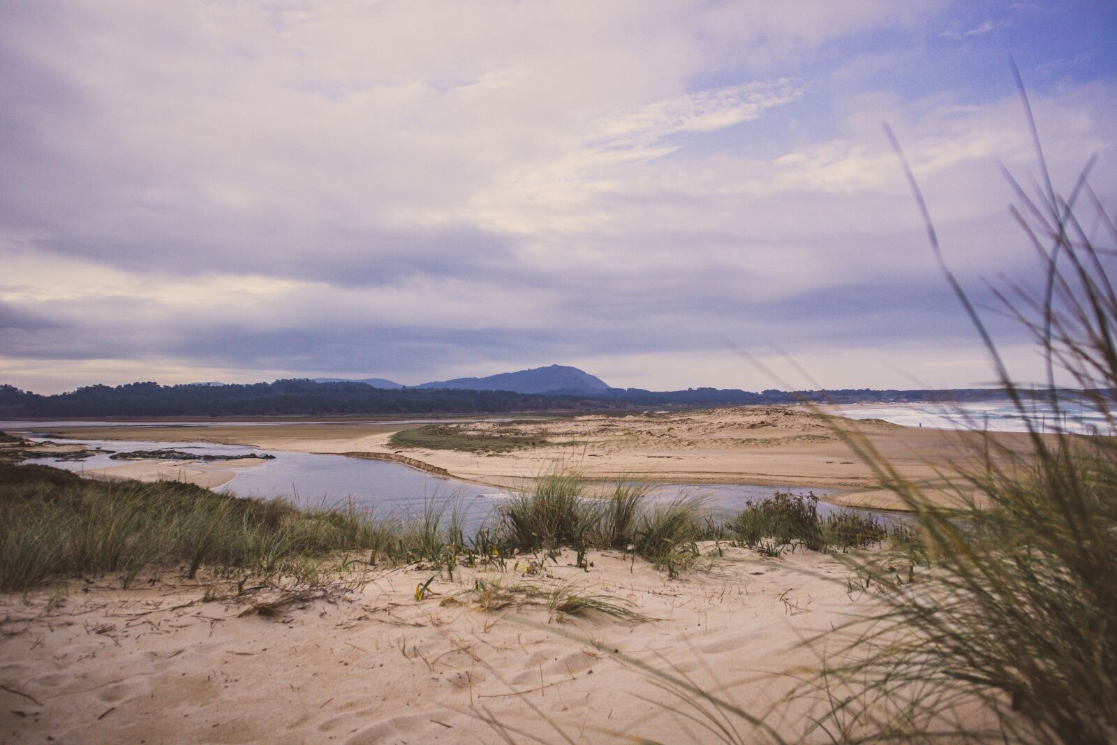Canon EOS M100 sample photo. Beach, sea, ocean photography