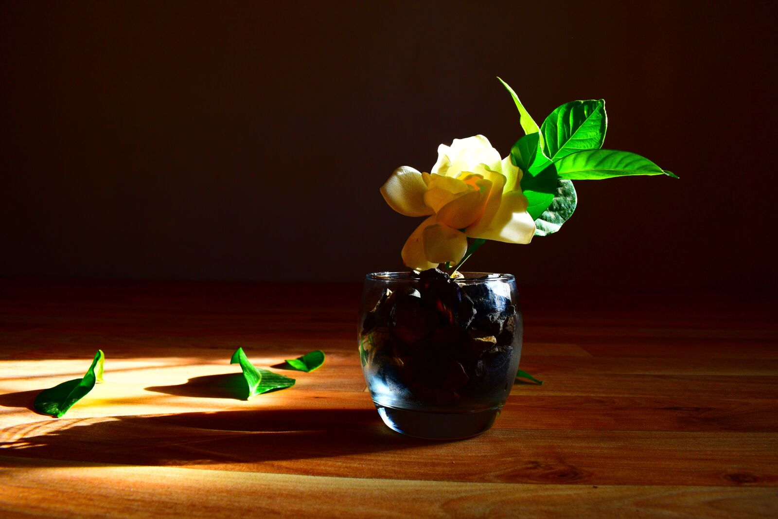 Nikon D5600 sample photo. Roses, indoor, vase photography