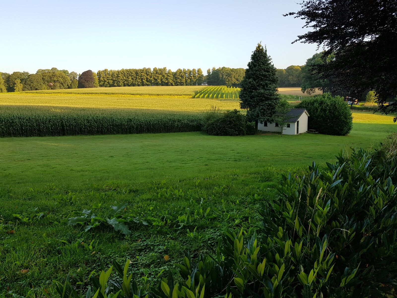 Samsung Galaxy S8 sample photo. Mountain and valley, netherlands photography