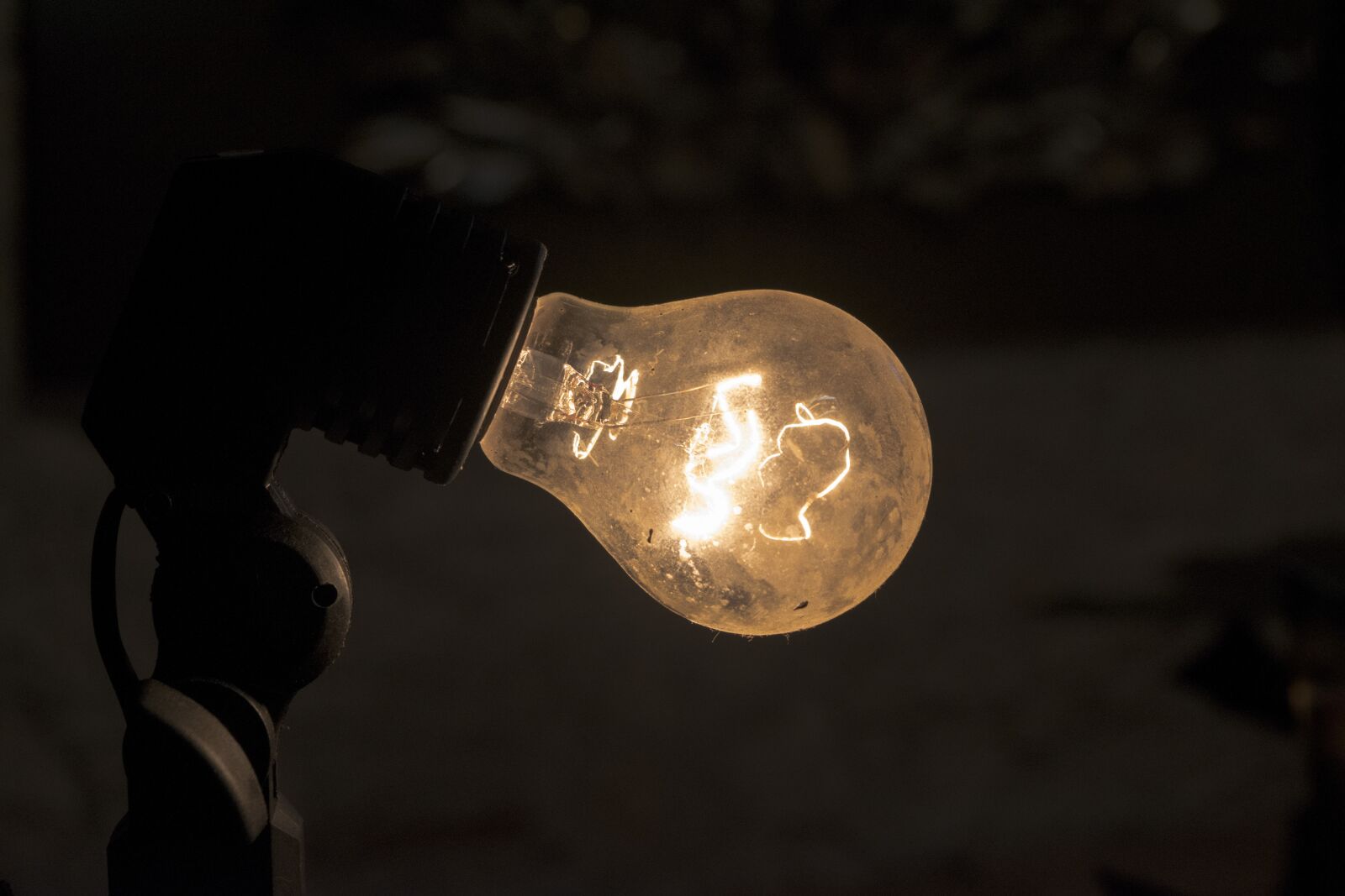 Nikon D5300 sample photo. Light, ancient, photo studio photography