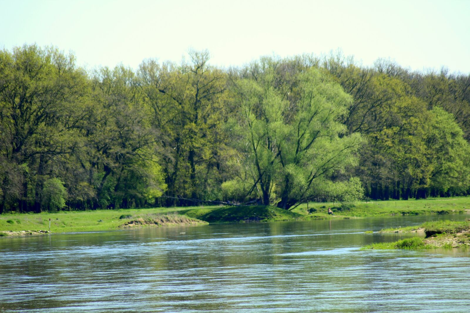 Canon EOS 1200D (EOS Rebel T5 / EOS Kiss X70 / EOS Hi) sample photo. River, water, measles photography