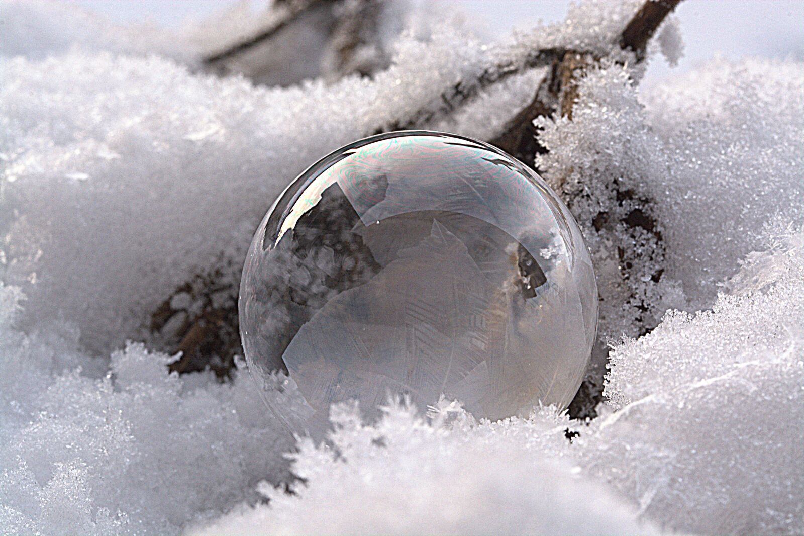 Nikon D5200 sample photo. Soap bubble, frozen bubble photography