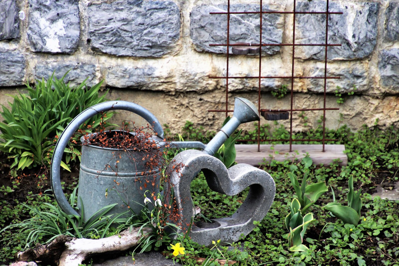 Canon EOS 80D sample photo. Heart, decoration, garden photography