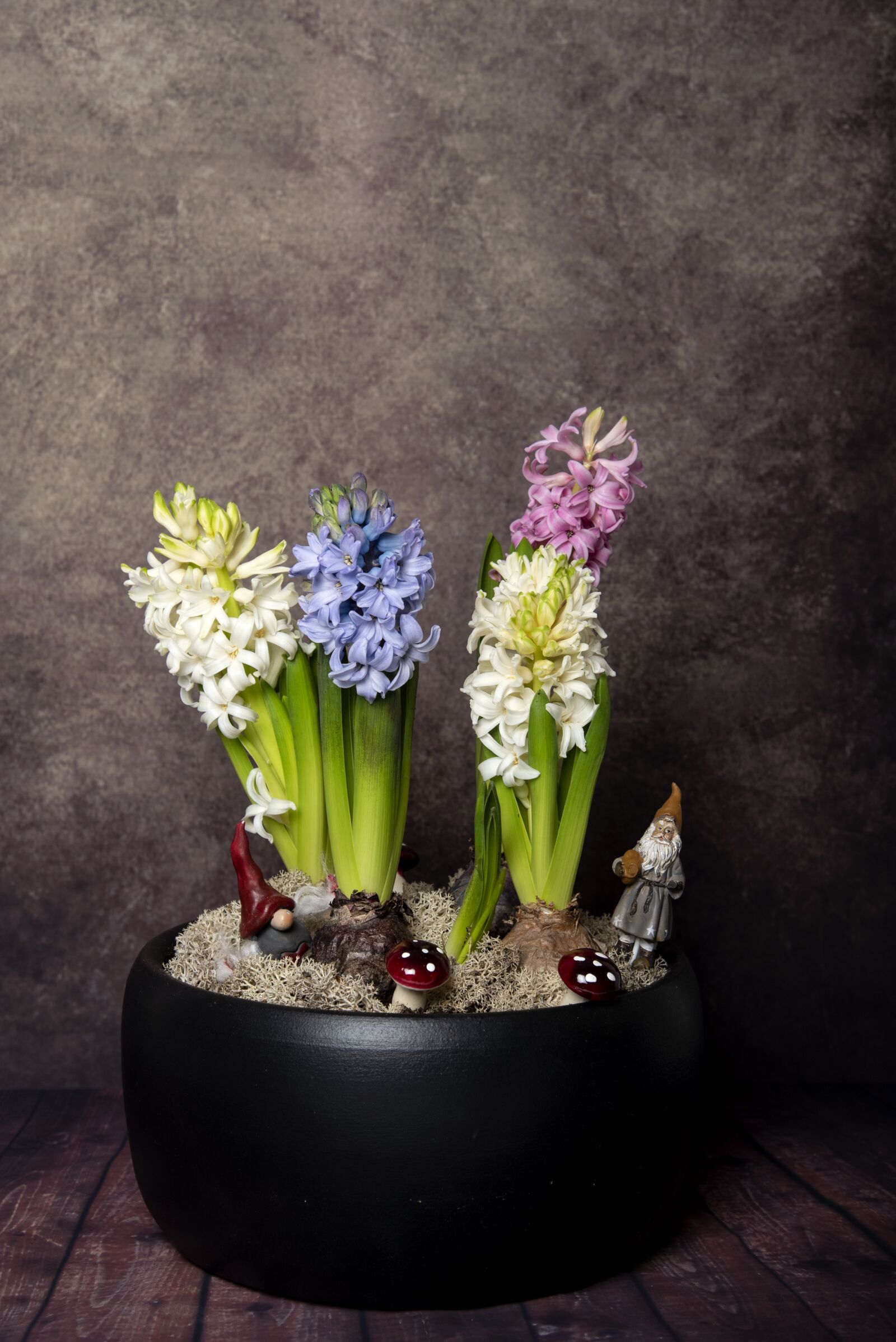 Nikon D750 sample photo. Christmas, julgrupp, hyacinths photography
