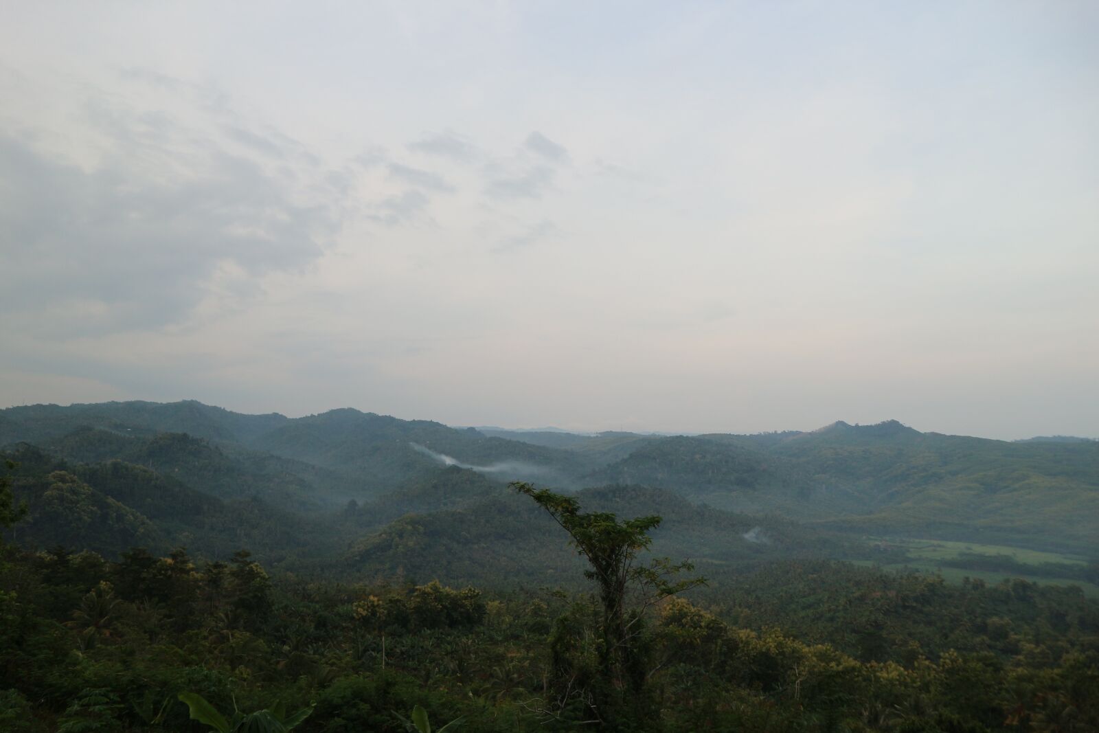 Canon EF-M 15-45mm F3.5-6.3 IS STM sample photo. Mountain, forest, mountains photography