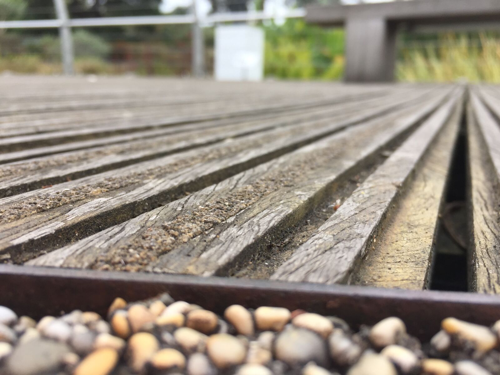 iPhone 6 back camera 4.15mm f/2.2 sample photo. Line, patio, wood photography