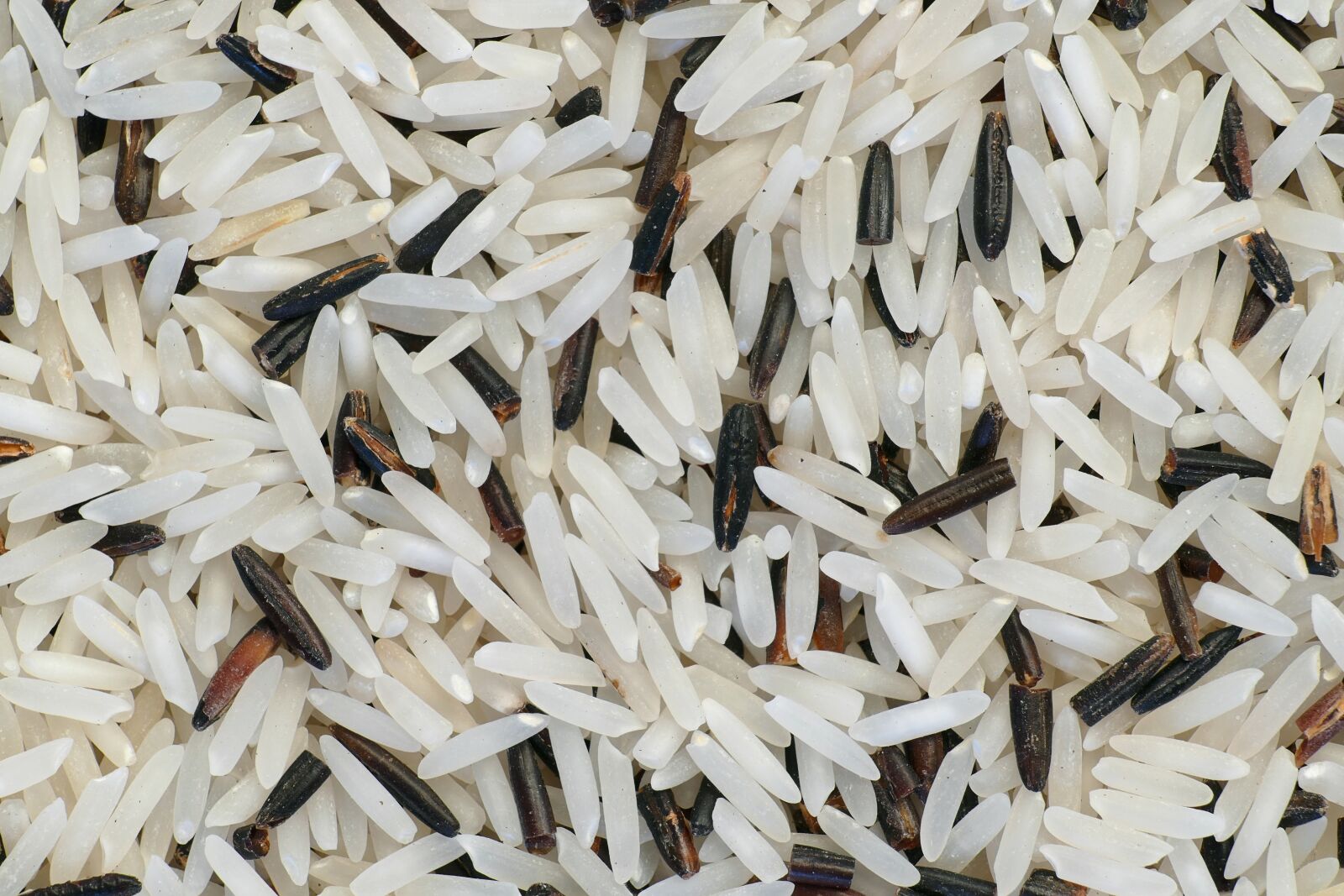 Panasonic Lumix DMC-FZ1000 sample photo. Rice mixture, basmati rice photography