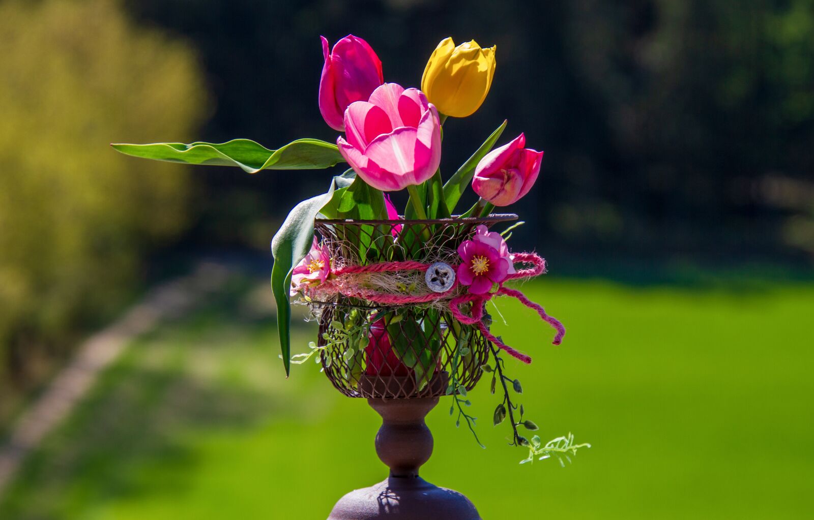Canon EOS 7D sample photo. Tulips, flowers, pink photography