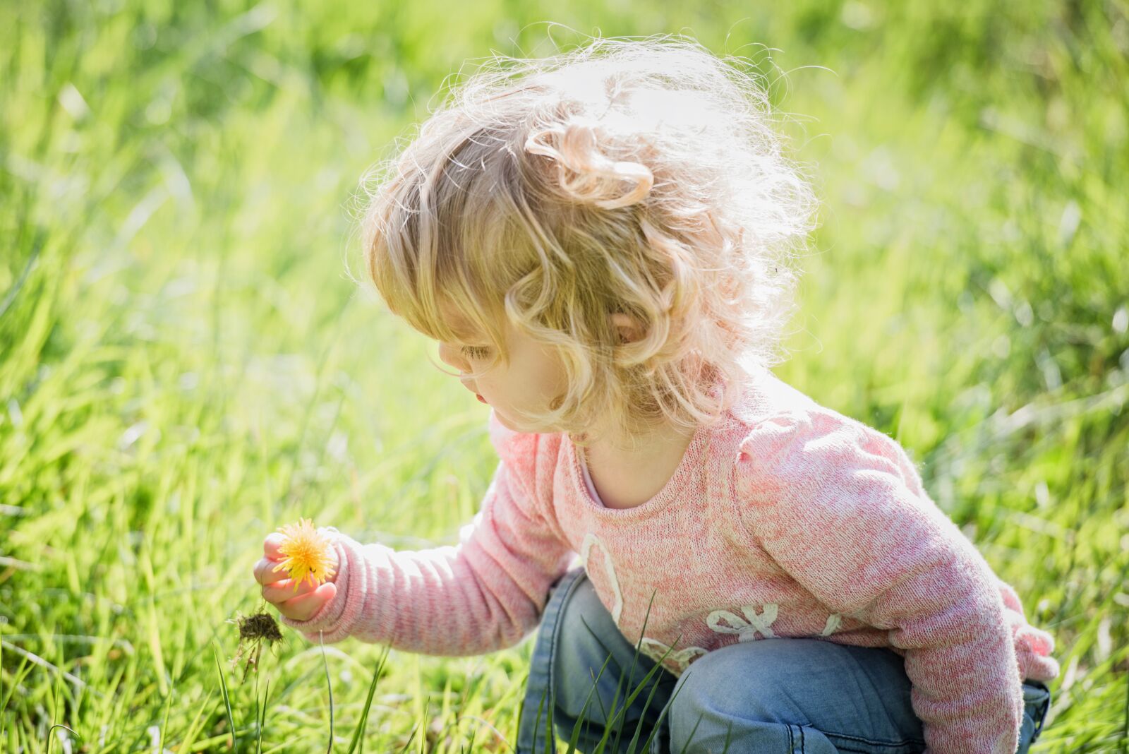 Nikon D810 sample photo. Child, toddler, cute photography