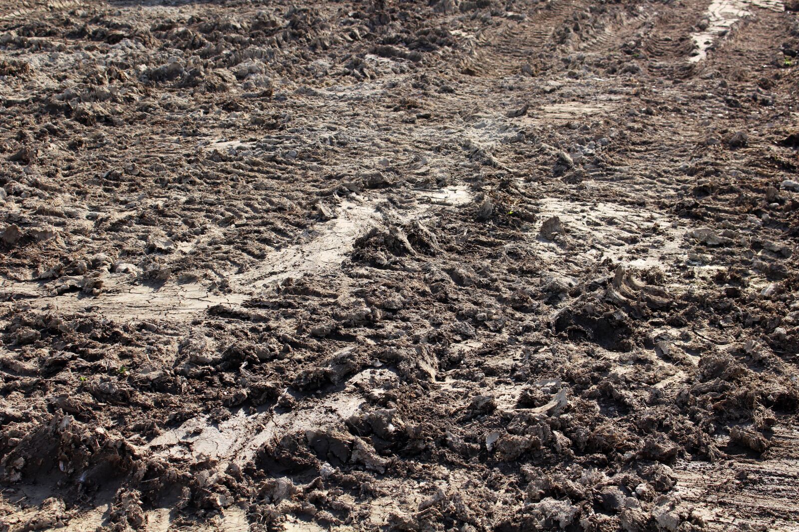 Canon EOS 100D (EOS Rebel SL1 / EOS Kiss X7) sample photo. Mud, land, ground photography