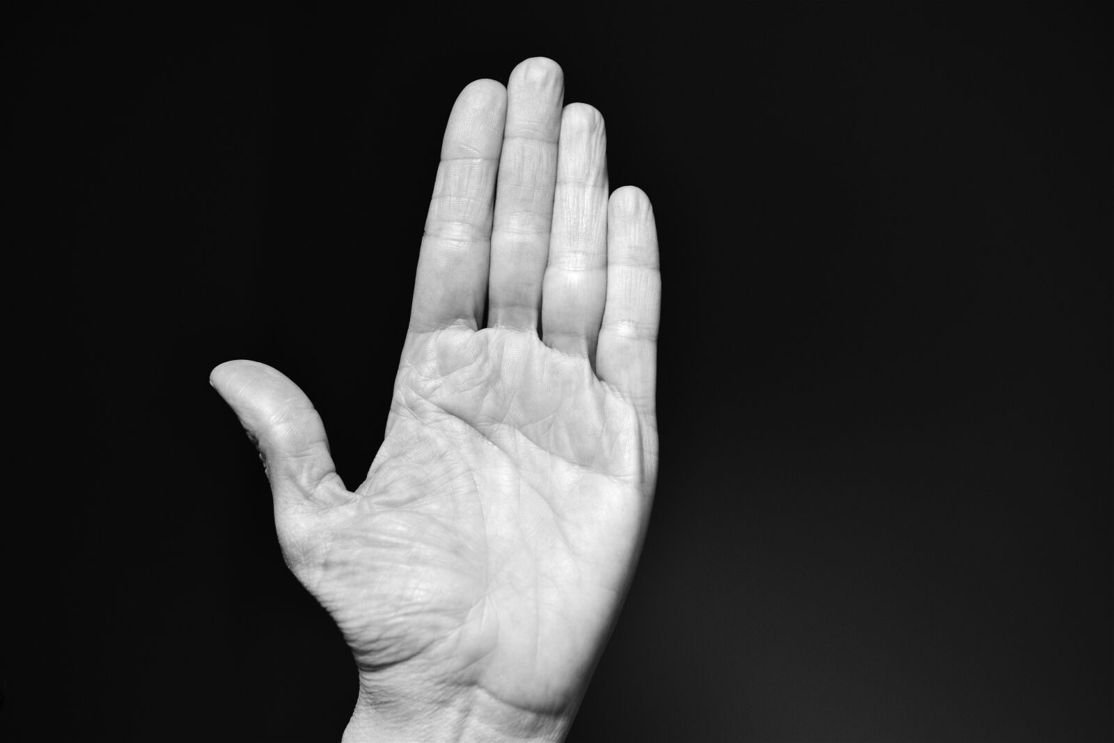 Nikon D5600 sample photo. Hand, slap in the photography