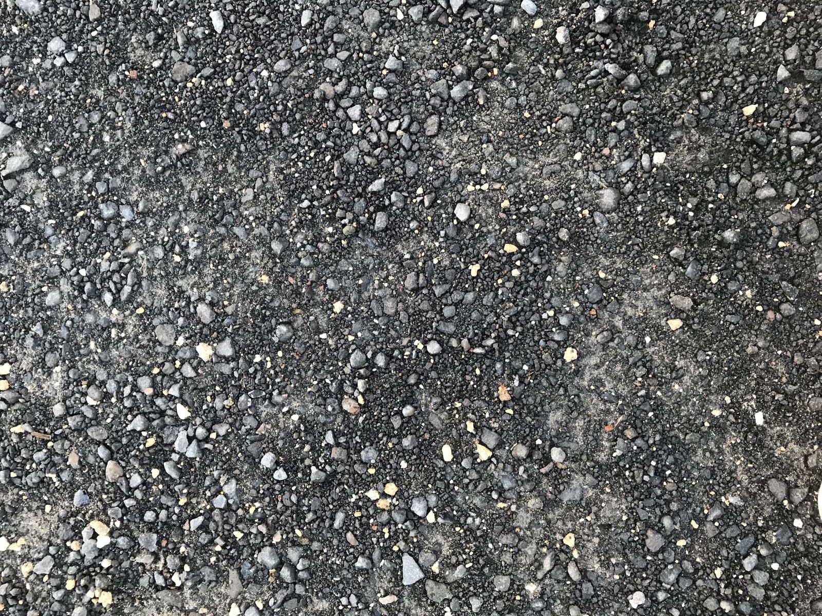 iPhone 7 back camera 3.99mm f/1.8 sample photo. Abstract, nature photography