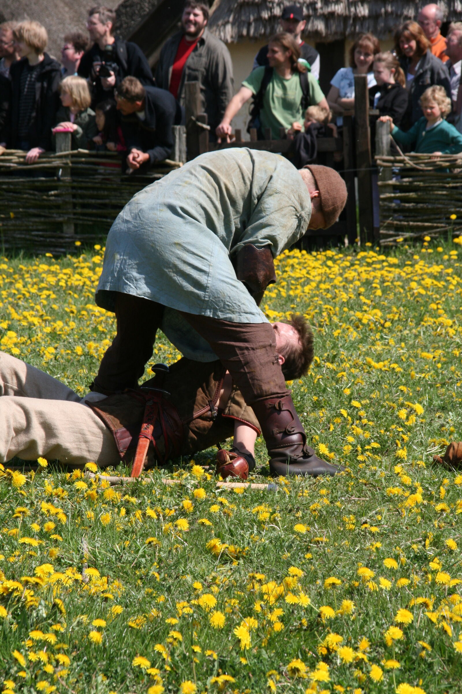Sigma 18-200mm f/3.5-6.3 DC OS sample photo. Vikings photography