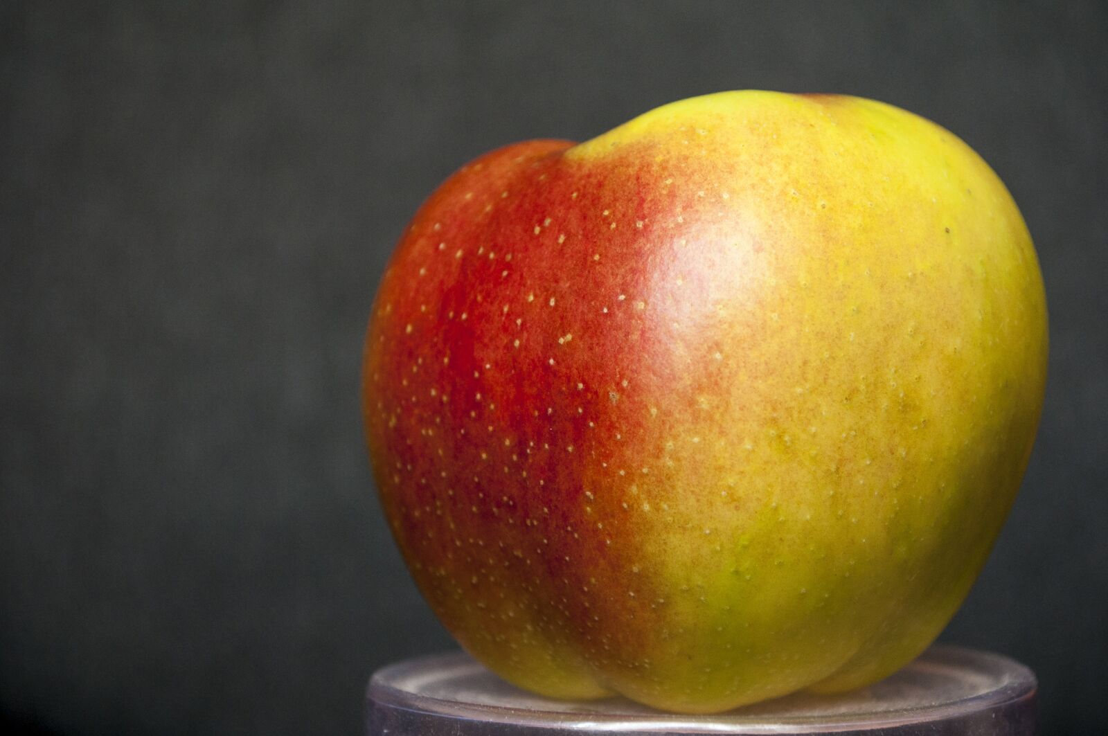 Nikon D90 sample photo. Apple, delicious, food photography