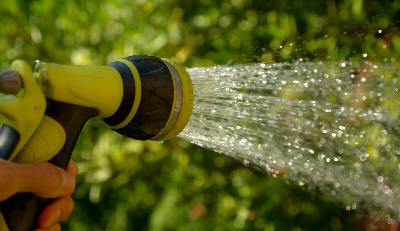 Pentax K10D sample photo. Watering, water jet, gardener photography