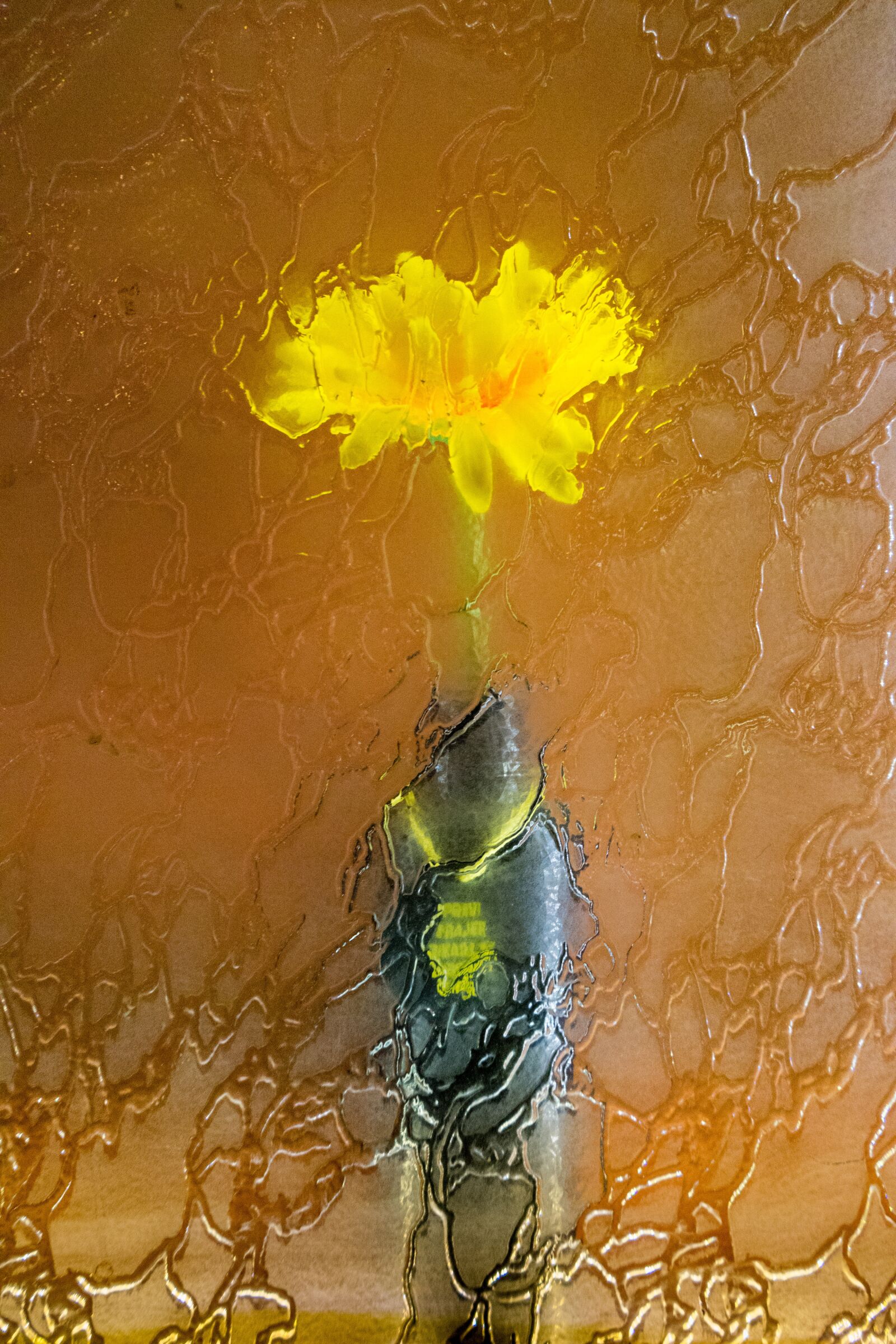 Sony a7 II + Sony FE 28-70mm F3.5-5.6 OSS sample photo. Flower, behinde, glass photography