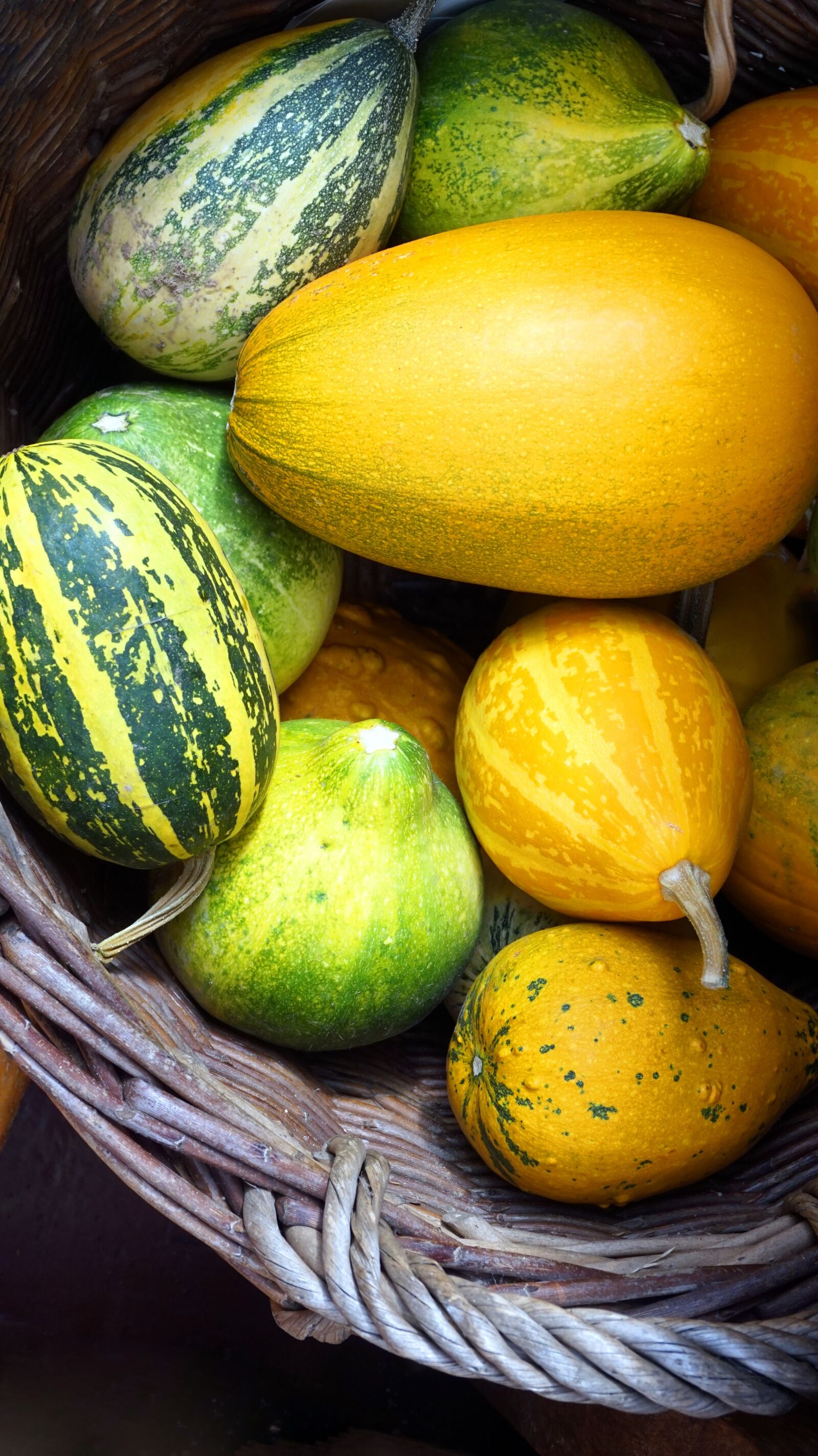 Sony Alpha a5000 (ILCE 5000) sample photo. Pumpkin, basket, autumn photography