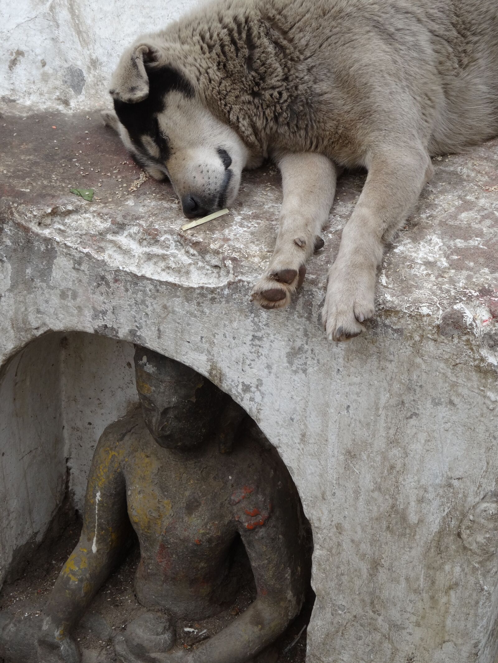 Sony Cyber-shot DSC-WX300 sample photo. Dog, statue, buddha photography
