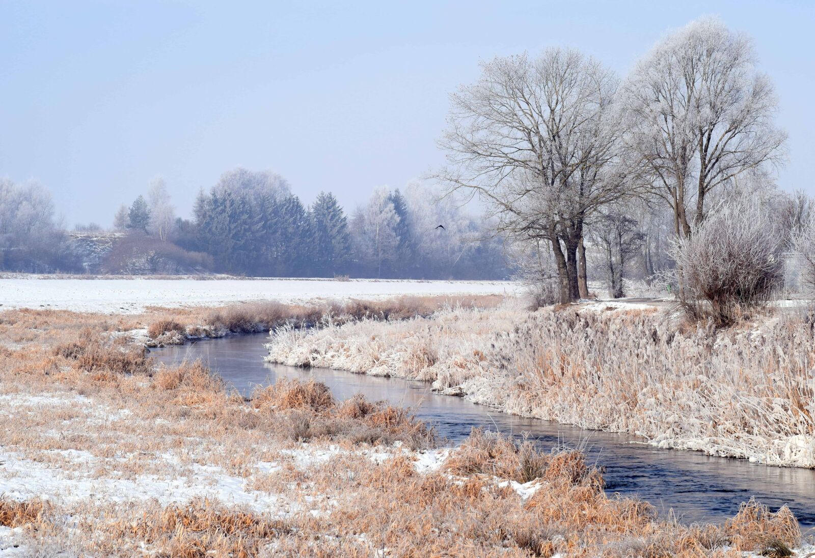 Nikon D3300 sample photo. Landscape, cold, frost, winter photography