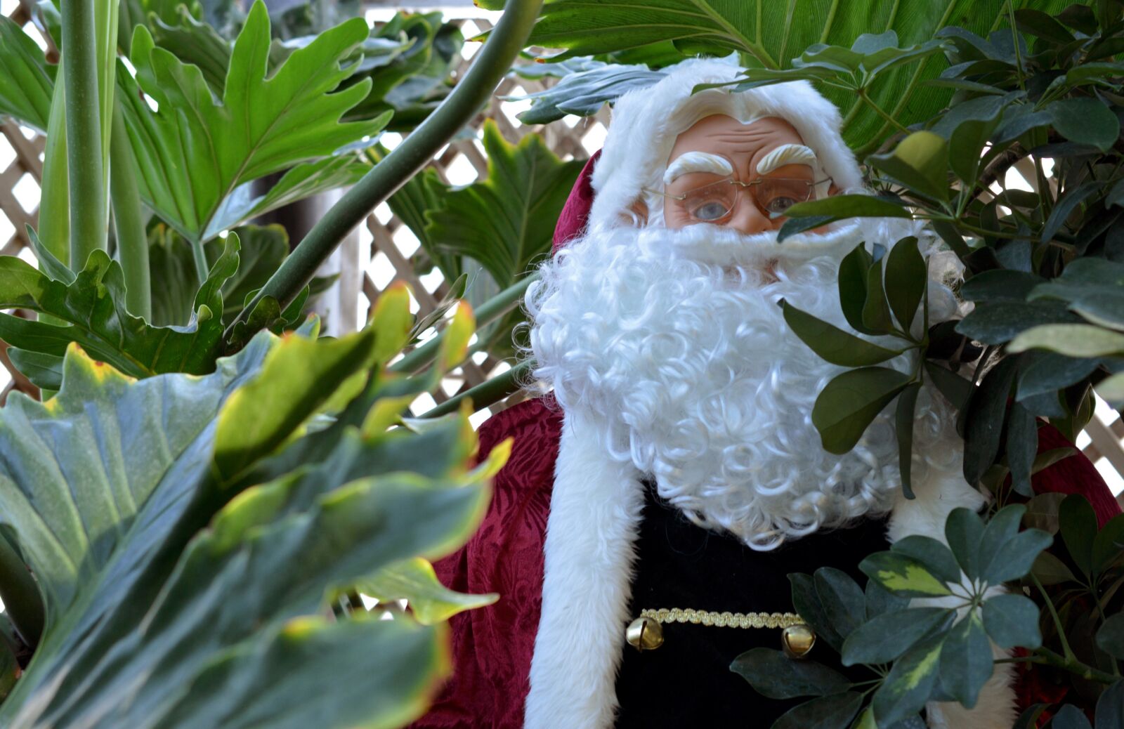 Nikon D3200 sample photo. Santa, santa claus, hiding photography