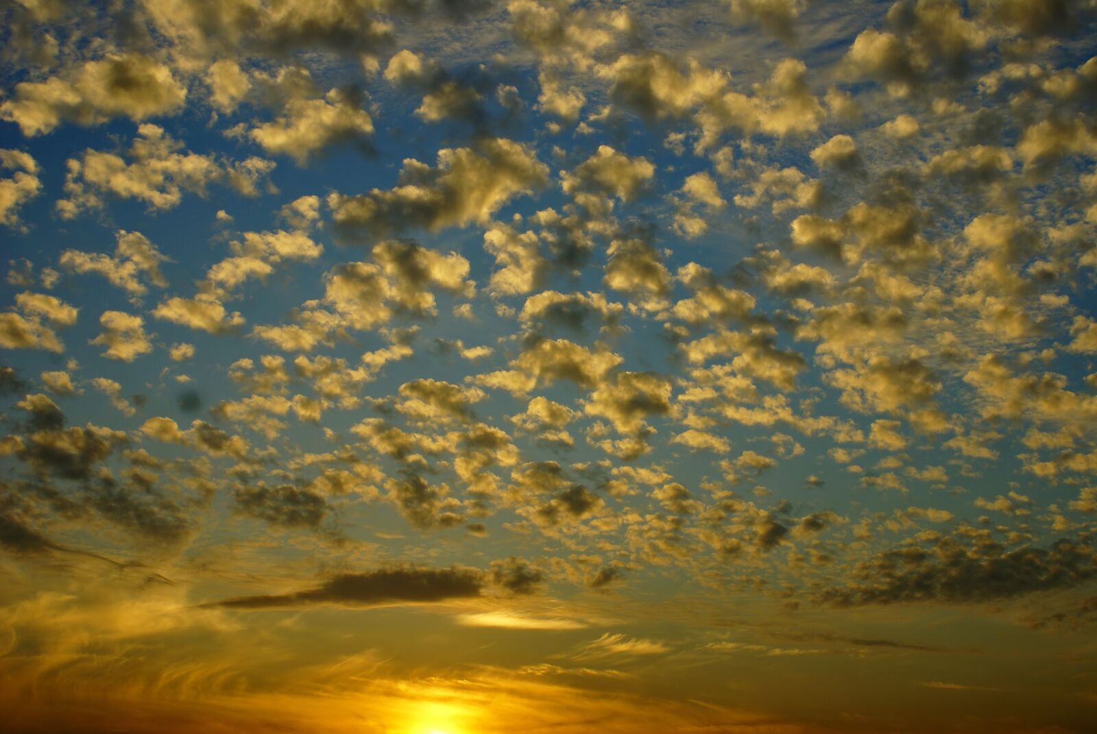 Sony Alpha DSLR-A100 sample photo. Sky, clouds, altocumulus photography