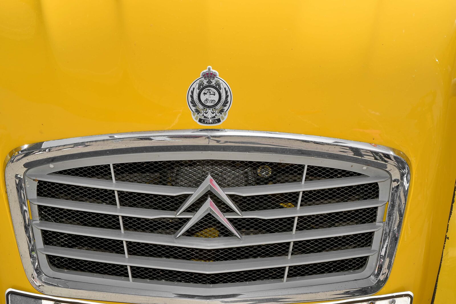 Nikon D5500 sample photo. Automobile, famous, yellowish, grille photography
