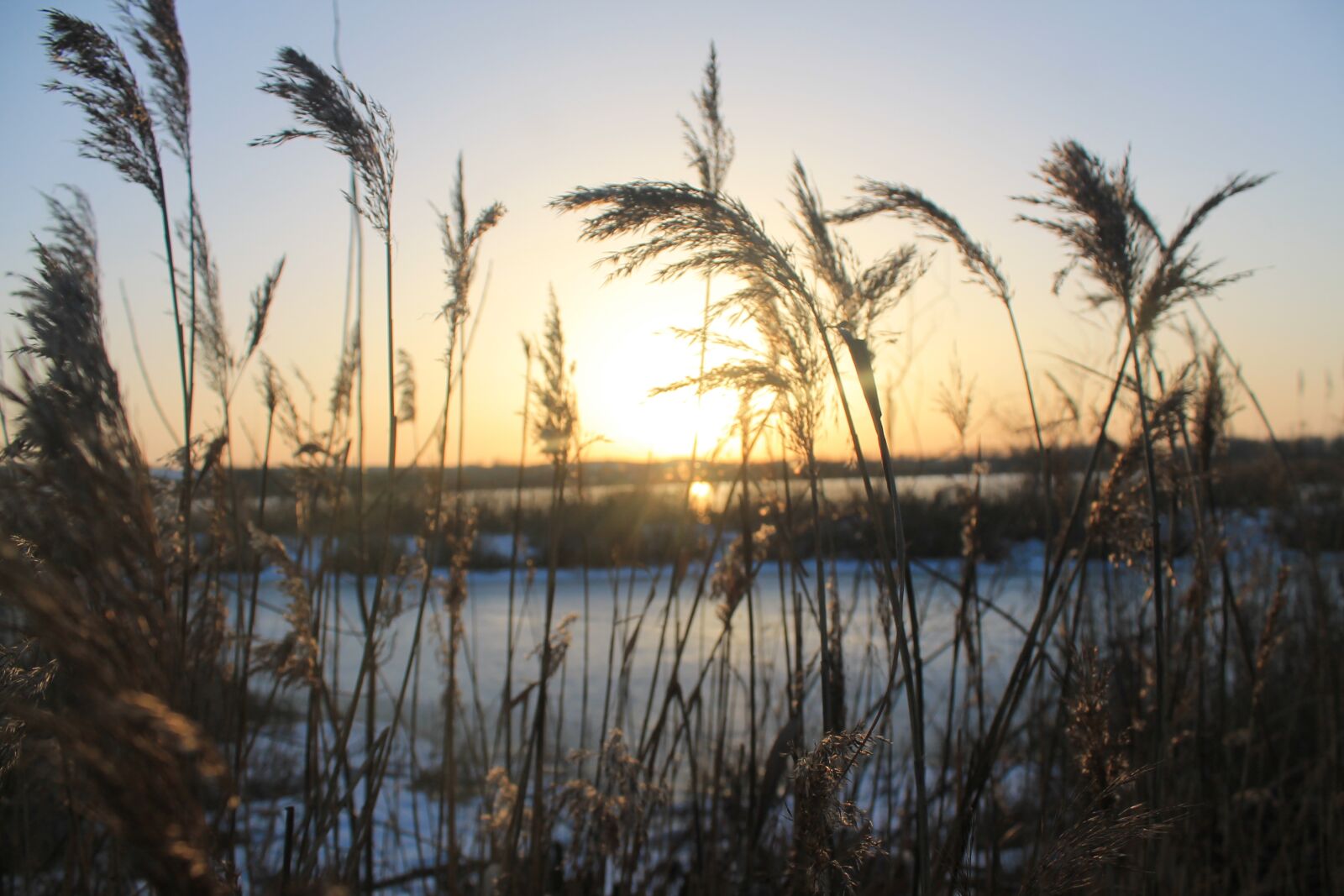 Canon EOS 1100D (EOS Rebel T3 / EOS Kiss X50) sample photo. Lake, sunset, autumn photography