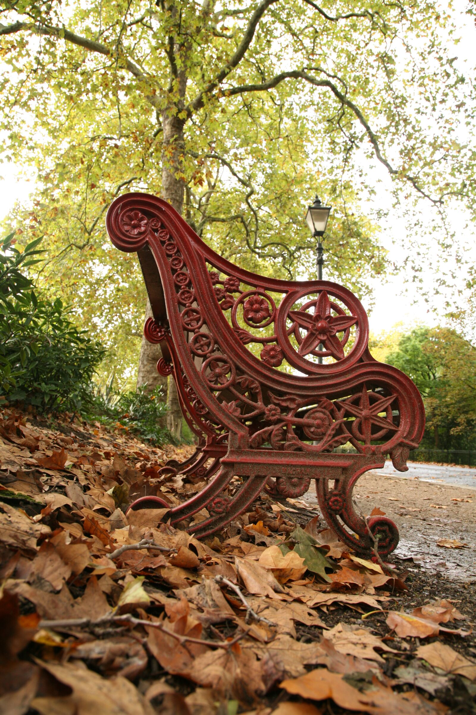 Canon EOS 5D sample photo. Bench, sit, seat photography