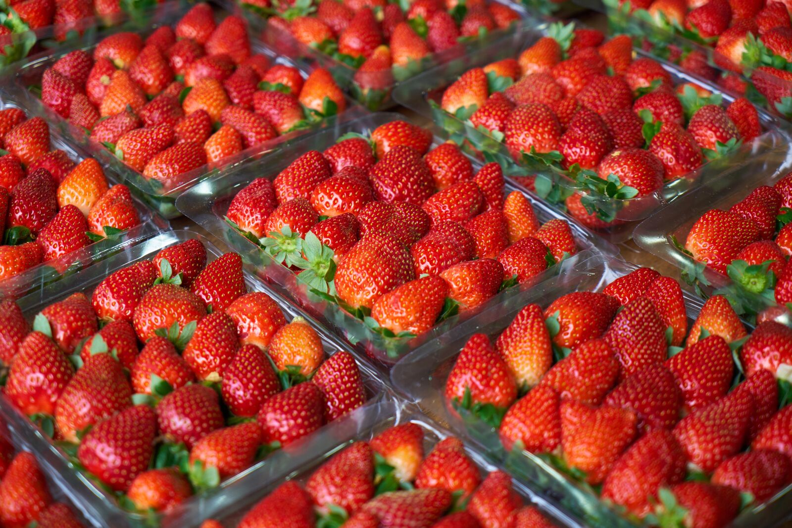 Sony a7R II sample photo. Strawberry, macro, red photography