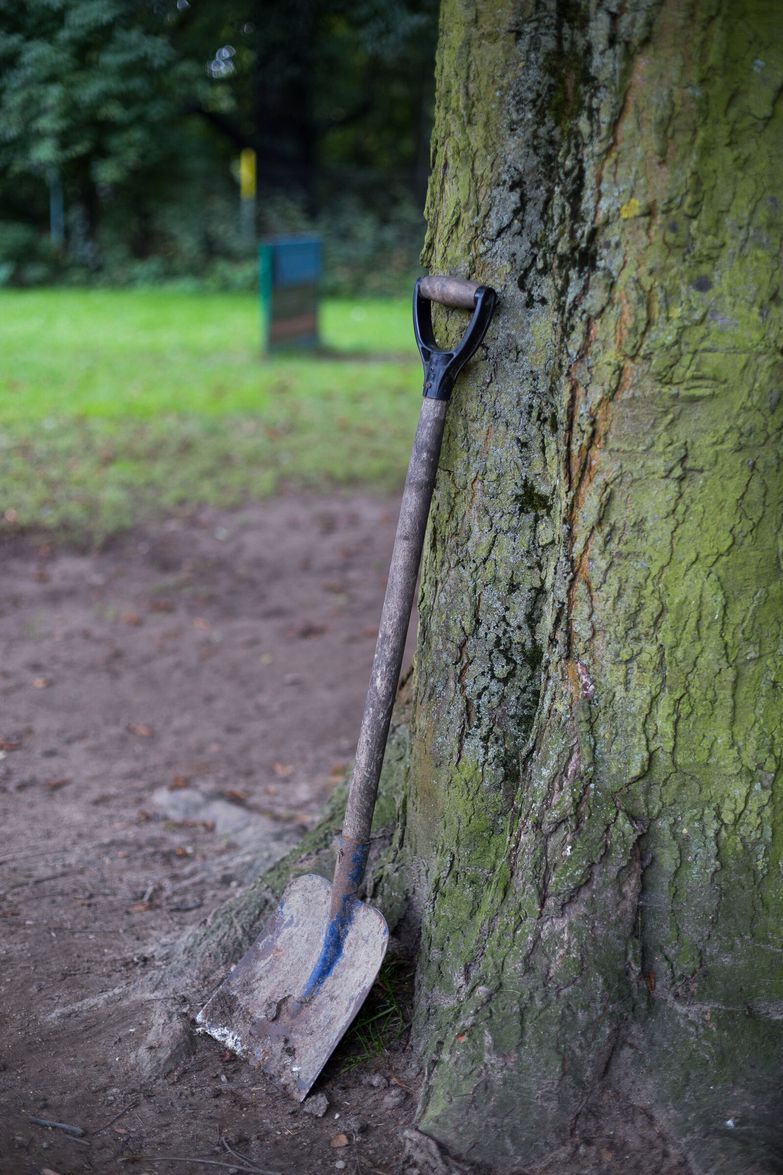 Canon EOS 6D + Canon EF 50mm F1.4 USM sample photo. Exhaust, exhausted, grass, shovel photography