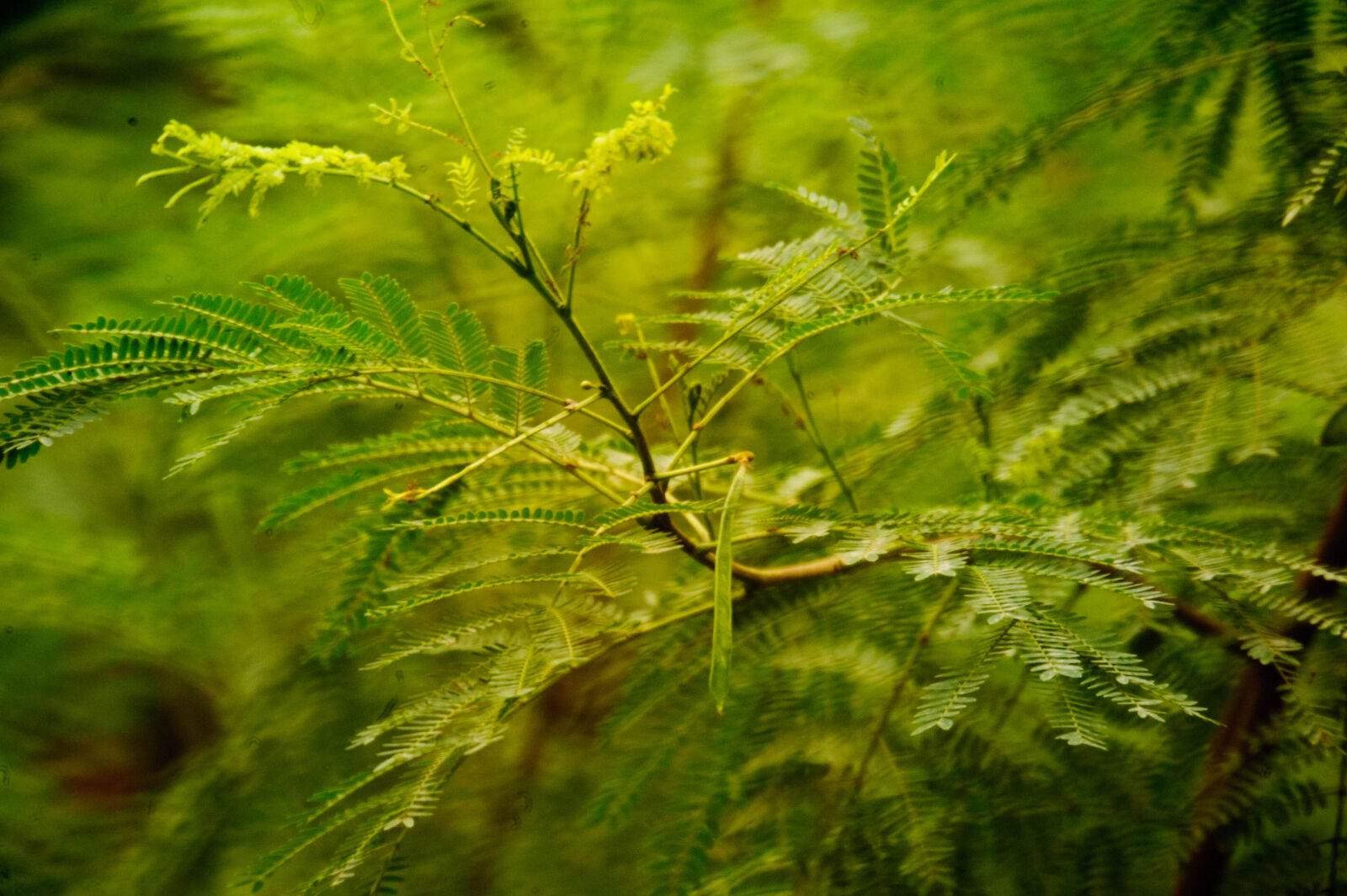 Nikon D700 sample photo