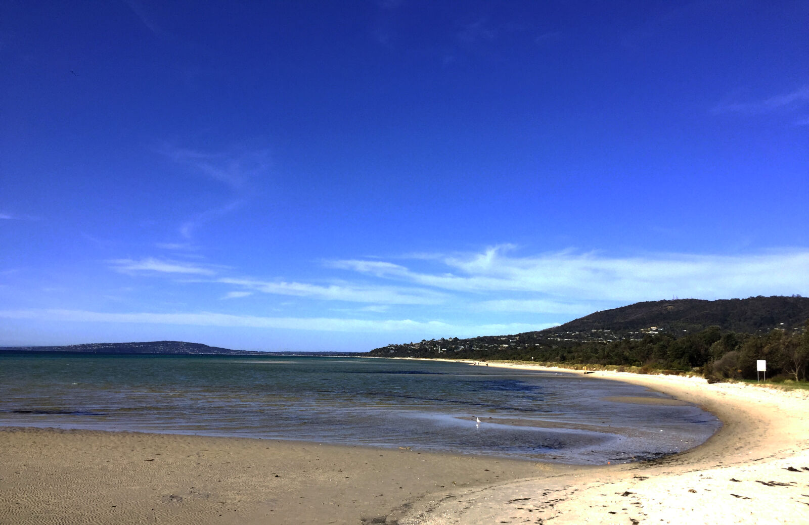 Apple iPhone 6 sample photo. Australia, beach, beachlife, melbourne photography
