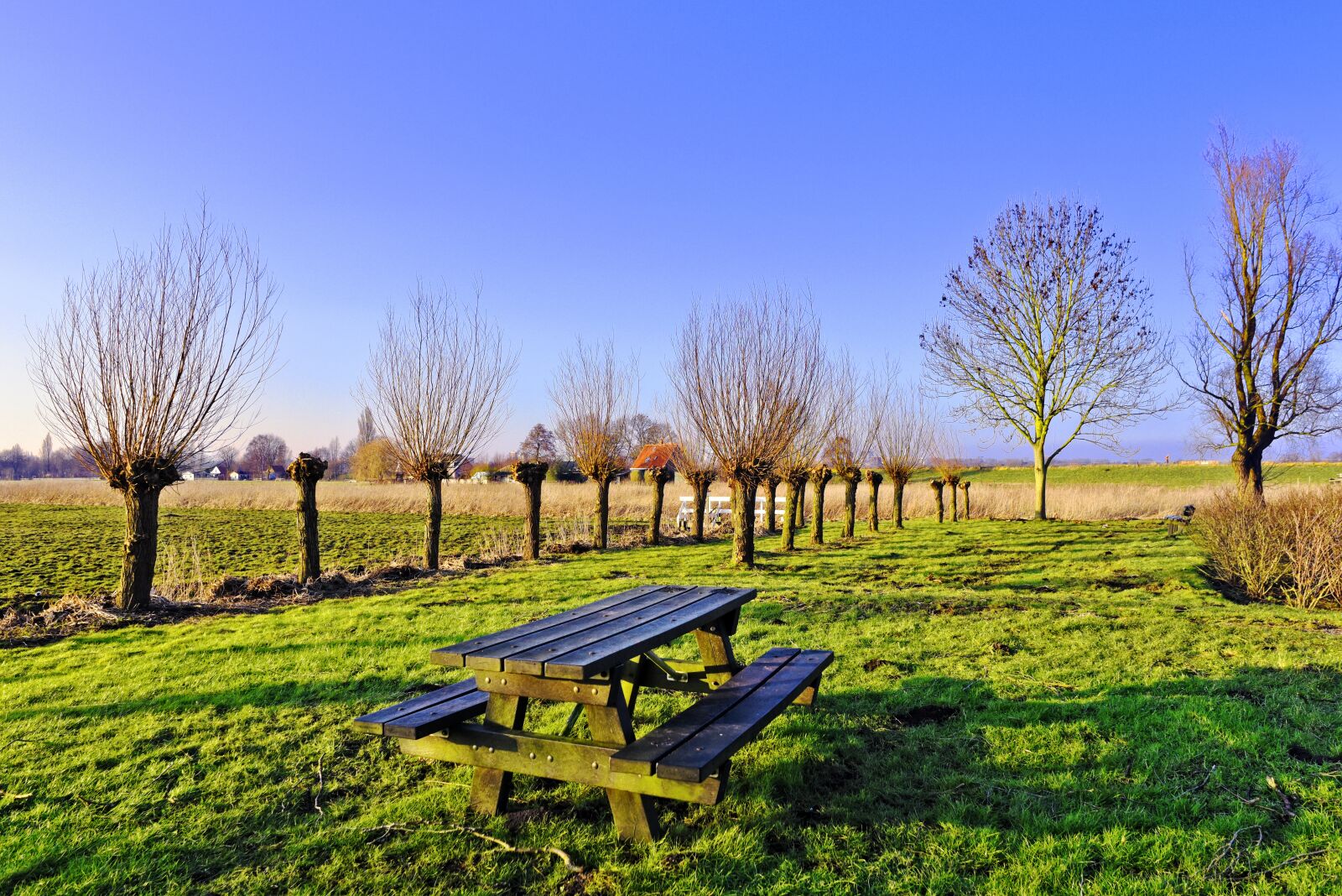 Nikon D750 sample photo. Picnic table, bench, resting photography