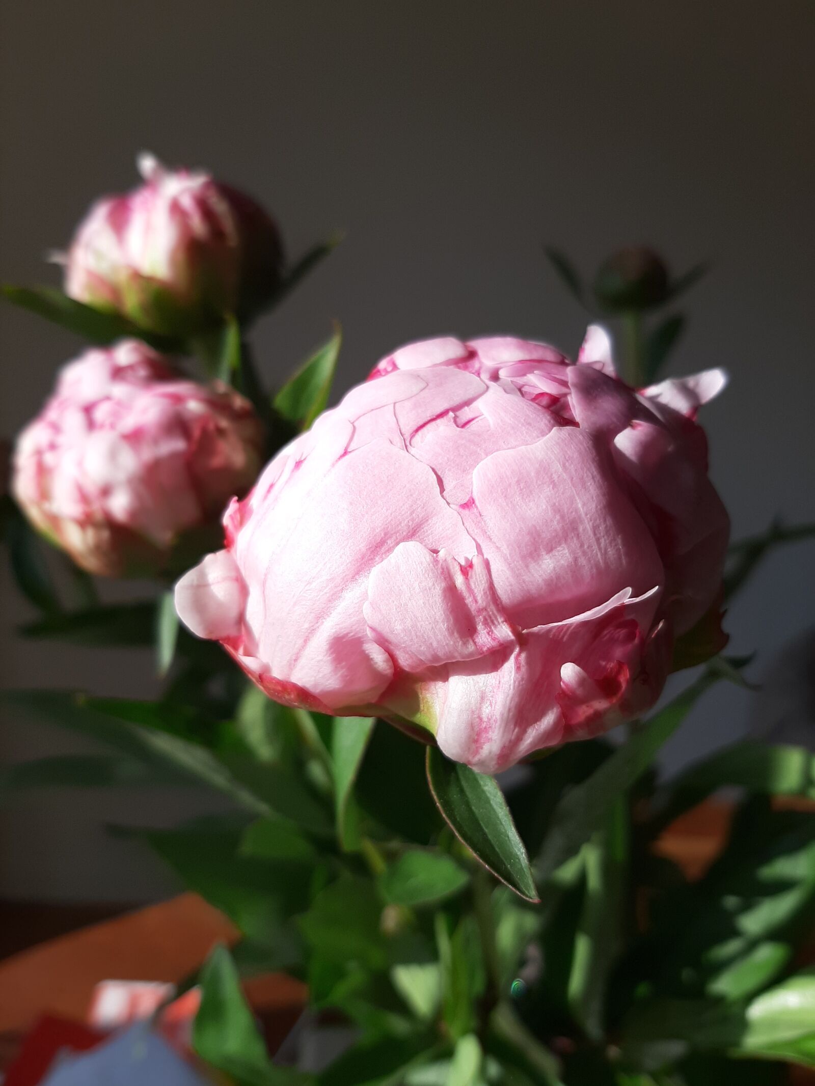 Samsung Galaxy A50 sample photo. Flowers, bouquet, peony photography