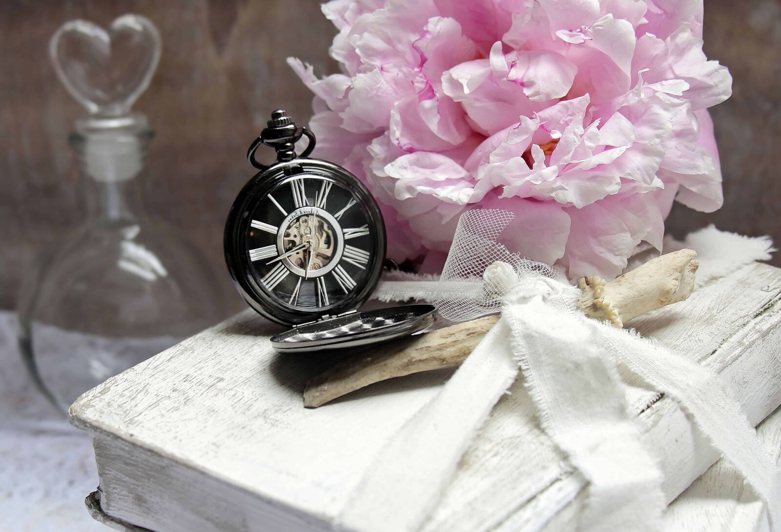 Canon EOS 100D (EOS Rebel SL1 / EOS Kiss X7) sample photo. Still life, flower, petal photography