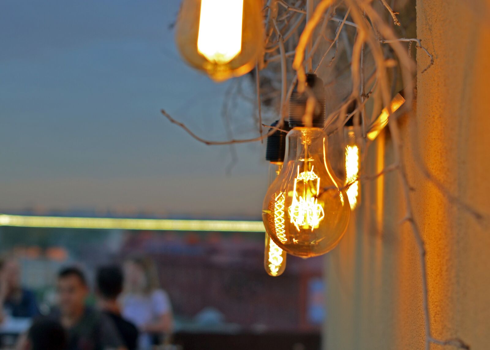 Nikon D3100 sample photo. Evening, illumination, bulbs photography