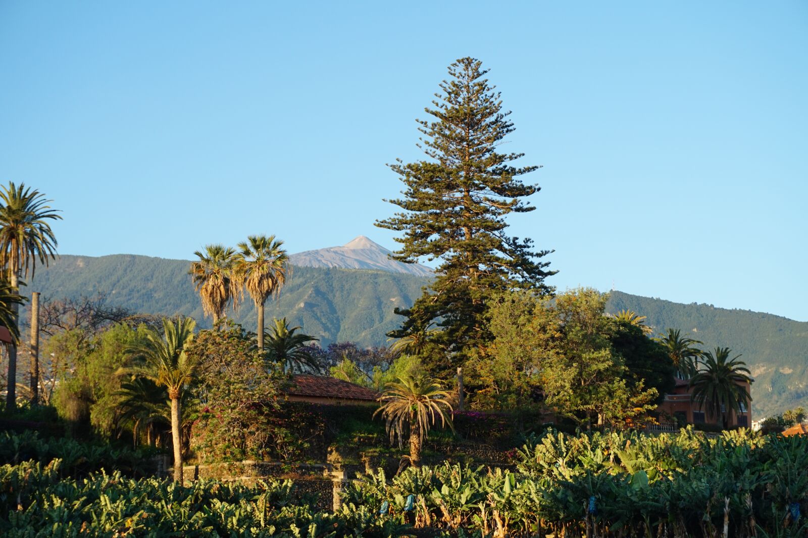 Sony E 16-50mm F3.5-5.6 PZ OSS sample photo. Sunrise, landscape, mountain photography