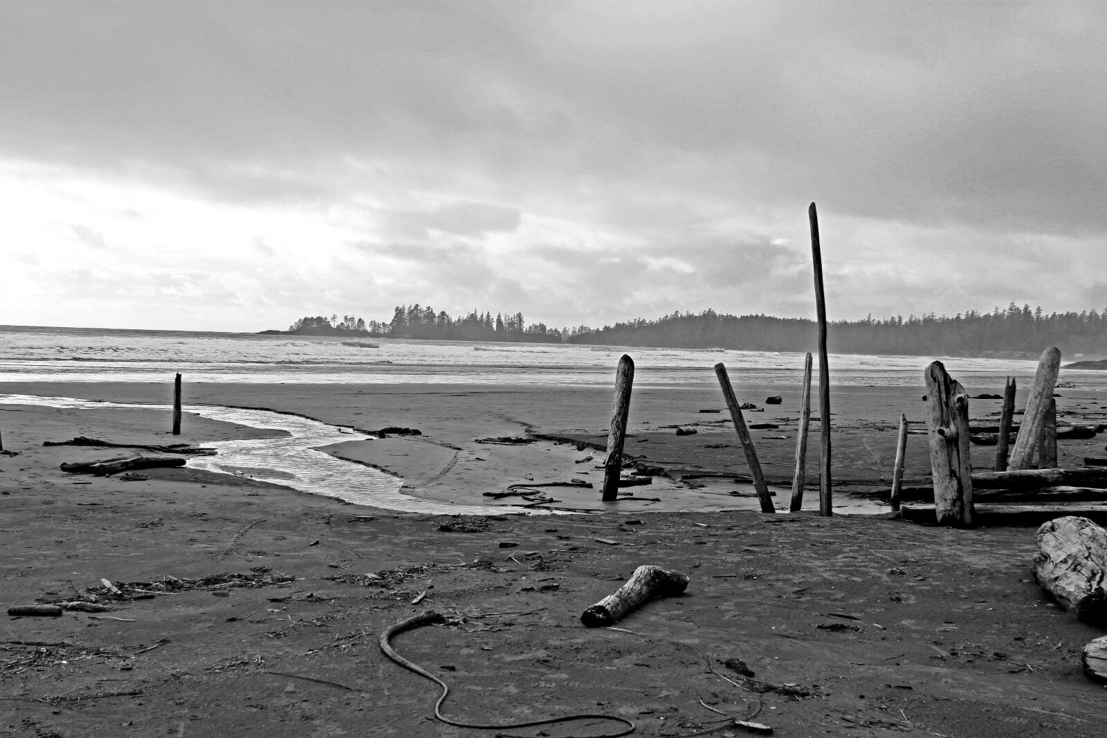 Canon EOS 500D (EOS Rebel T1i / EOS Kiss X3) sample photo. Long, beach, vancouver photography