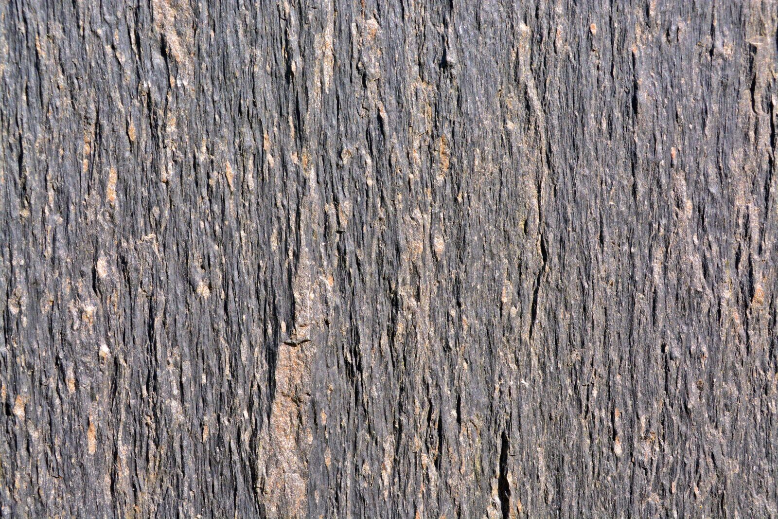 Nikon D5200 sample photo. Pattern, background, texture photography