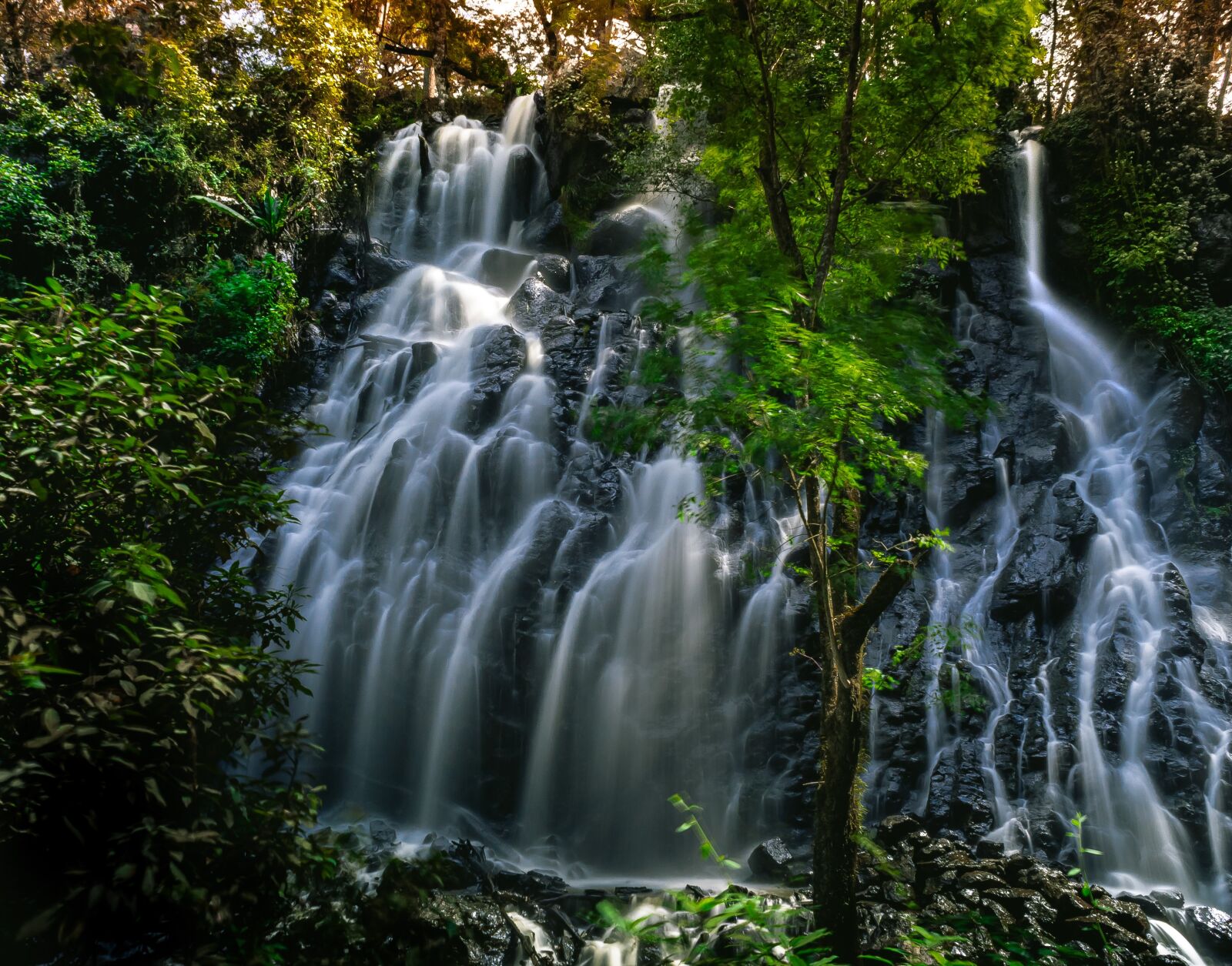 Canon EOS 1300D (EOS Rebel T6 / EOS Kiss X80) sample photo. Waterfalls, tree, waterfall photography