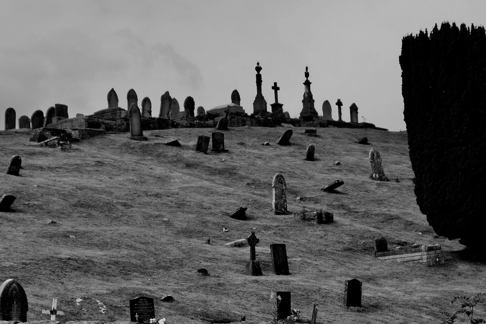 Fujifilm X-T20 + Fujifilm XC 16-50mm F3.5-5.6 OIS II sample photo. People, group, graveyard photography