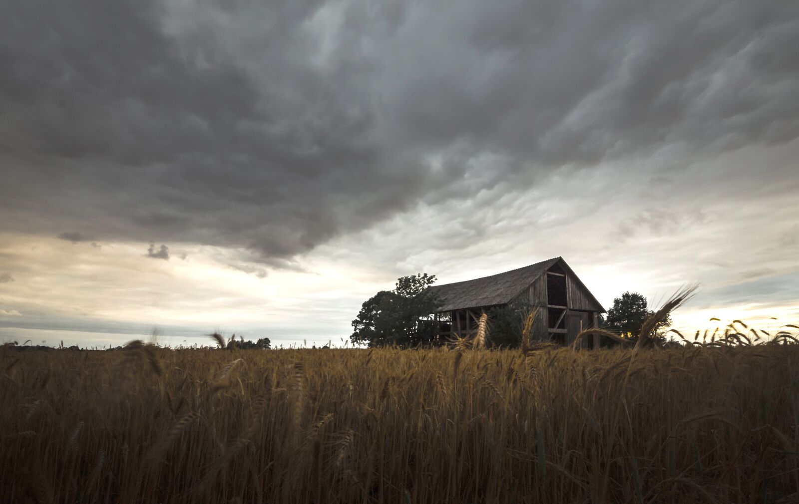 Nikon D60 sample photo. Barn, shed, farm photography