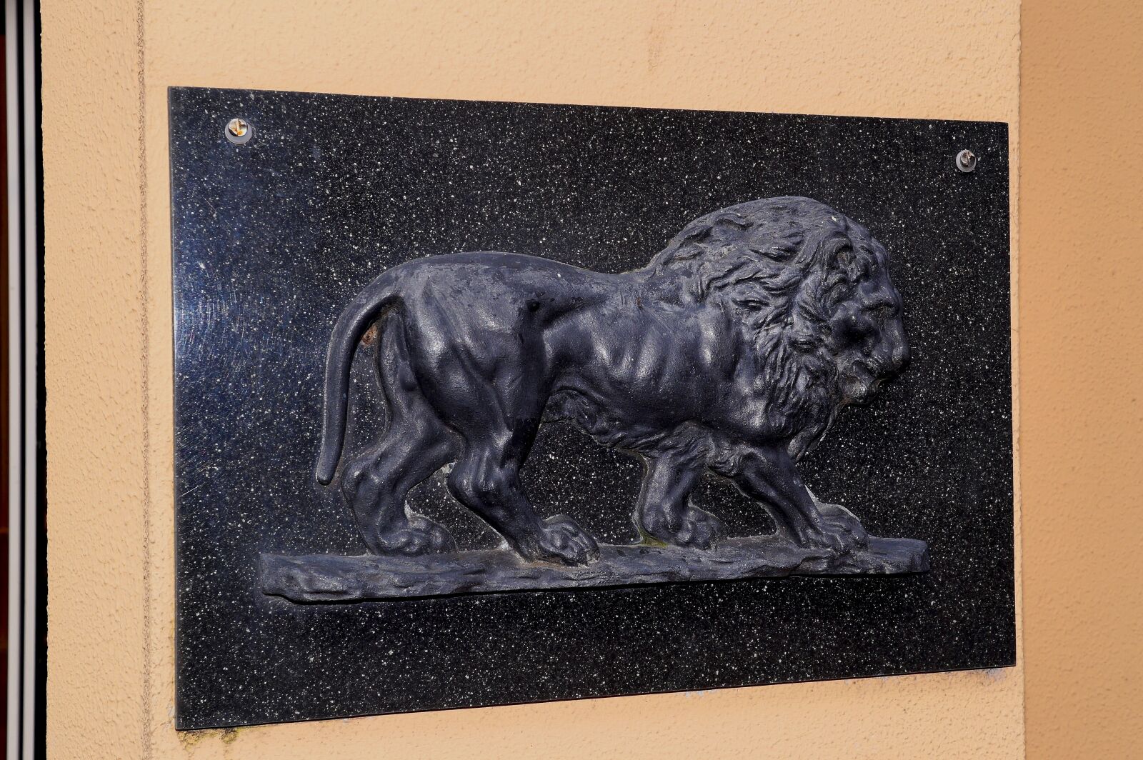 Sony SLT-A58 sample photo. Shield, stone, lion photography