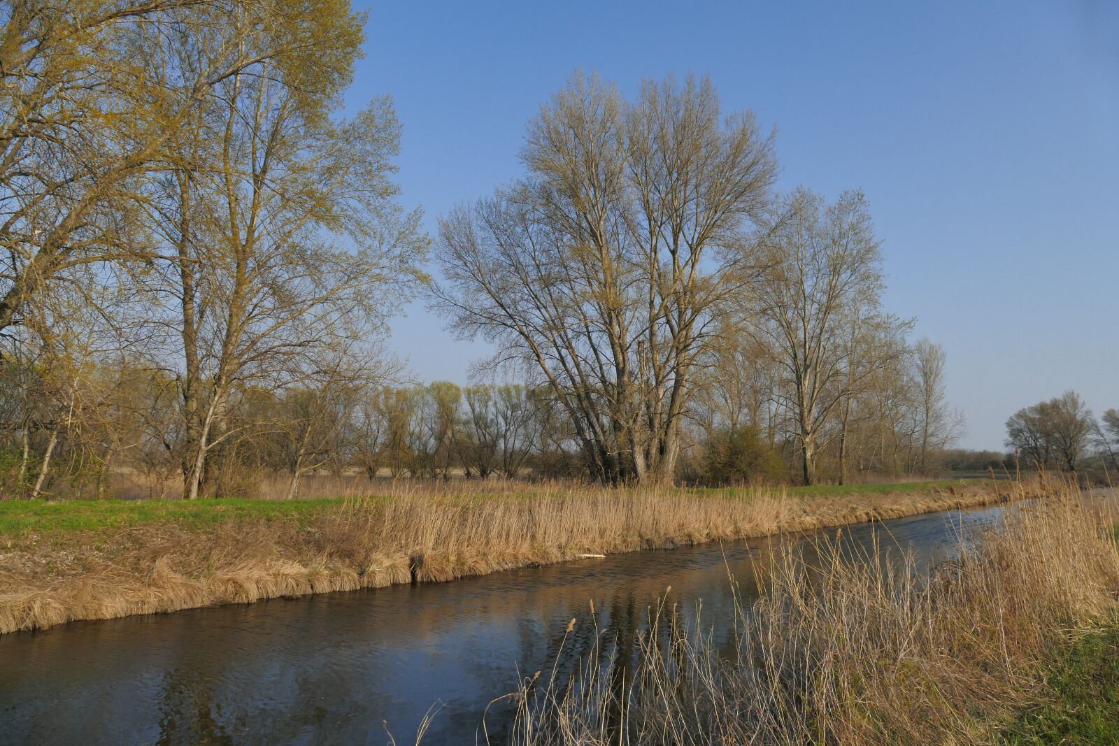 Panasonic Lumix DMC-FZ1000 sample photo. Nature, country, creek photography