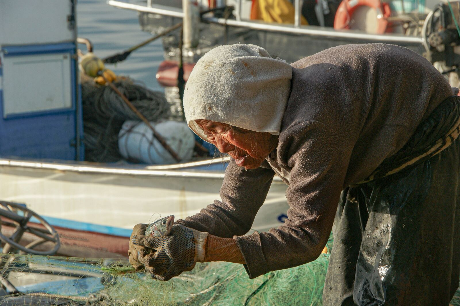 Sony Alpha DSLR-A350 sample photo. Port, sea, fish photography